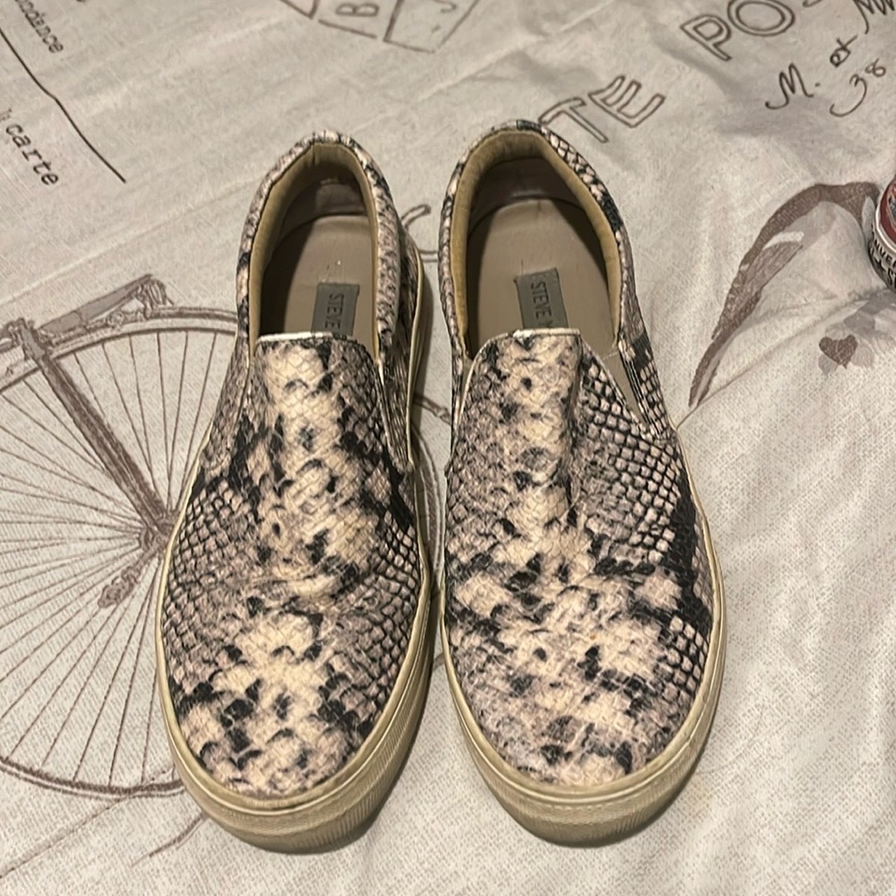 Steve Madden python shoe